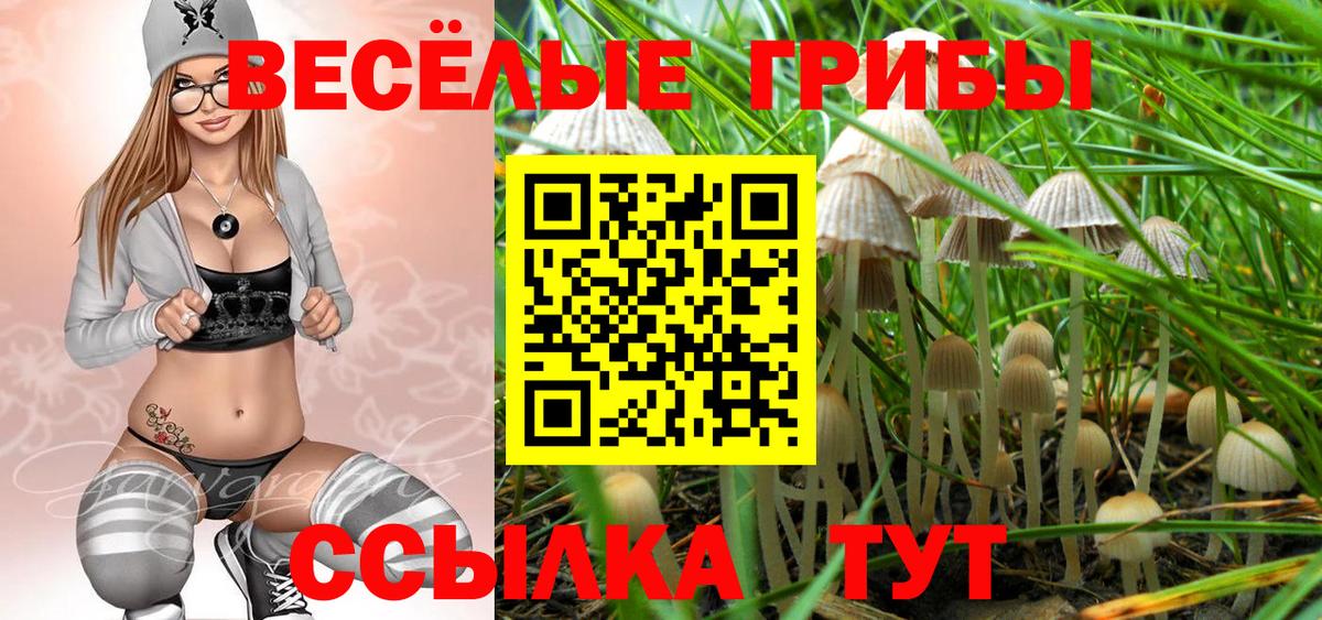 Галлюциногенные грибы прущие грибы  Вход с VPN  Электрогорск 
